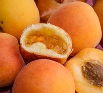 Пирожки с абрикосом (от 10 штук)